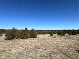 TBD Navajo Ranch Resorts #3 - Photo 9
