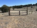 Lot 93 Twin Lakes Ranch - Photo 11