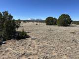 Lot 93 Twin Lakes Ranch - Photo 12