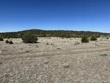 Lot 93 Twin Lakes Ranch - Photo 13