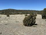 Lot 93 Twin Lakes Ranch - Photo 4