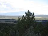 TBD Bear Spur Road - Photo 10