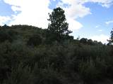 TBD Bear Spur Road - Photo 11