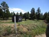 TBD Bear Spur Road - Photo 14