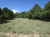 TBD Bear Spur Road - Photo 16
