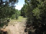 TBD Bear Spur Road - Photo 18