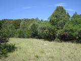 TBD Bear Spur Road - Photo 19