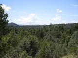 TBD Bear Spur Road - Photo 22