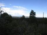 TBD Bear Spur Road - Photo 29