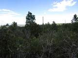 TBD Bear Spur Road - Photo 30