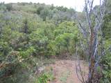 TBD Bear Spur Road - Photo 31