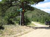 TBD Bear Spur Road - Photo 7