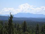 TBD Bear Spur Road - Photo 9