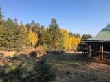 8 Camp Drive - Photo 36