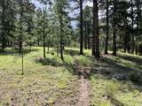 8 Camp Drive - Photo 41
