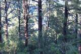 33041 Conifer Drive - Photo 20