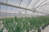 23054 Us-160 - Photo 43