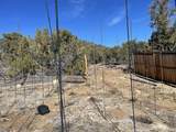 16582 Rocky Heights Dr - Photo 23