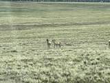 2555 Co Rd 24 - Photo 17