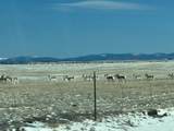 2555 Co Rd 24 - Photo 18