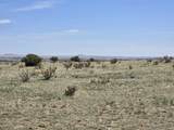 136 Turkey Ridge Ranch - Photo 10