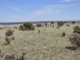 136 Turkey Ridge Ranch - Photo 12