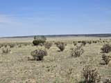136 Turkey Ridge Ranch - Photo 13