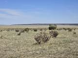 136 Turkey Ridge Ranch - Photo 15