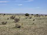 136 Turkey Ridge Ranch - Photo 16