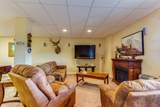 33186 Little Bear Drive - Photo 28