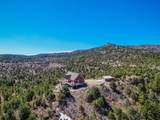 33186 Little Bear Drive - Photo 36