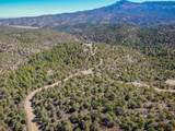 33186 Little Bear Drive - Photo 44
