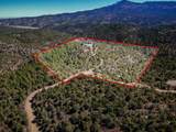 33186 Little Bear Drive - Photo 45