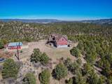 33186 Little Bear Drive - Photo 49