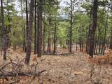 TBD Cimarron Ranch 33-32-67 Swsw - Photo 16