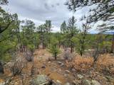 TBD Cimarron Ranch 33-32-67 Swsw - Photo 18