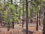 TBD Cimarron Ranch 33-32-67 Swsw - Photo 6
