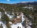 33103 Little Bear Drive - Photo 10