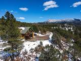 33103 Little Bear Drive - Photo 11