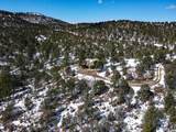 33103 Little Bear Drive - Photo 12