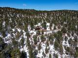 33103 Little Bear Drive - Photo 13