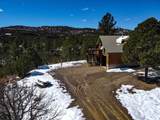 33103 Little Bear Drive - Photo 15