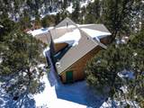 33103 Little Bear Drive - Photo 16