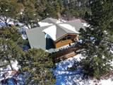33103 Little Bear Drive - Photo 17