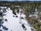 33103 Little Bear Drive - Photo 18