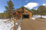 33103 Little Bear Drive - Photo 31