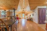 33103 Little Bear Drive - Photo 5