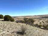 0 Black Horse Drive - Photo 10