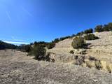 0 Black Horse Drive - Photo 16