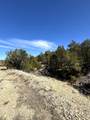 0 Black Horse Drive - Photo 20